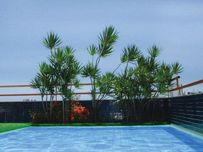 Hotel Express
